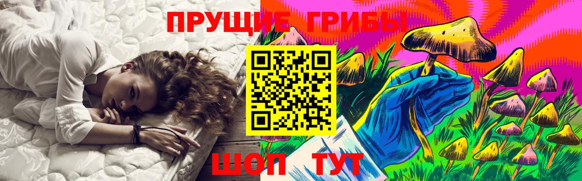 Новоалександровск  Галлюциногенные грибы MAGIC MUSHROOMS  Галлюциногенные грибы Psilocybine cubensis  Вход с VPN 
